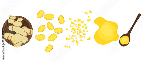 Herbs, spices, ginger in various forms, sliced, minced, fine powder. Isolated on a white background, vector illustration.