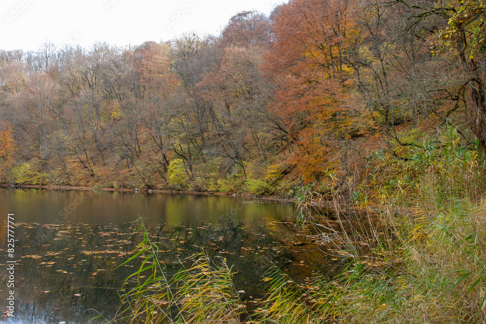 autumn day on a mountain lake of karst origin surrounded by a yellowing forest