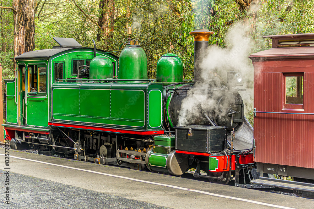 Obraz premium Small Classic Green Steam Locomotive.