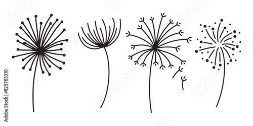 Dandelion flower silhouettes. Spring season blooming blowball flowers doodles vector illustration. Dandelion fluffy nature silhouette