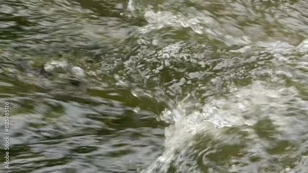 Close-up video background of water flowing in a natural stream. Close-up video background of water flowing in a natural stream.