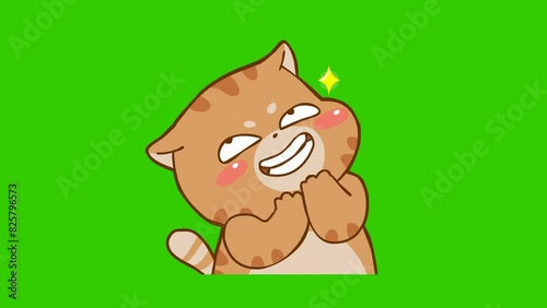Animated Chubby Cat Laughing Mischievously - Green Screen