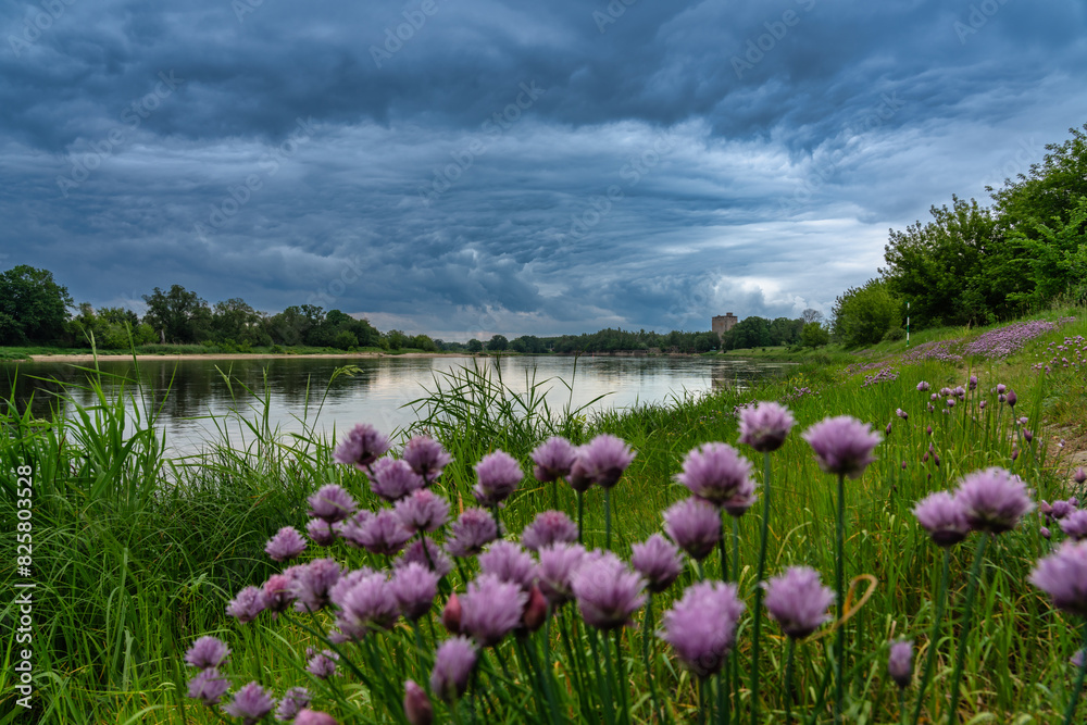 Elbe bei Dessau Panoramablick Elbe bei Dessau Panoramablick