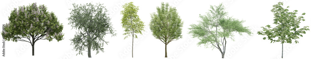 Collection of realistic woods trees with isolated on transparent background. PNG file, 3D rendering illustration, Clip art and cut out