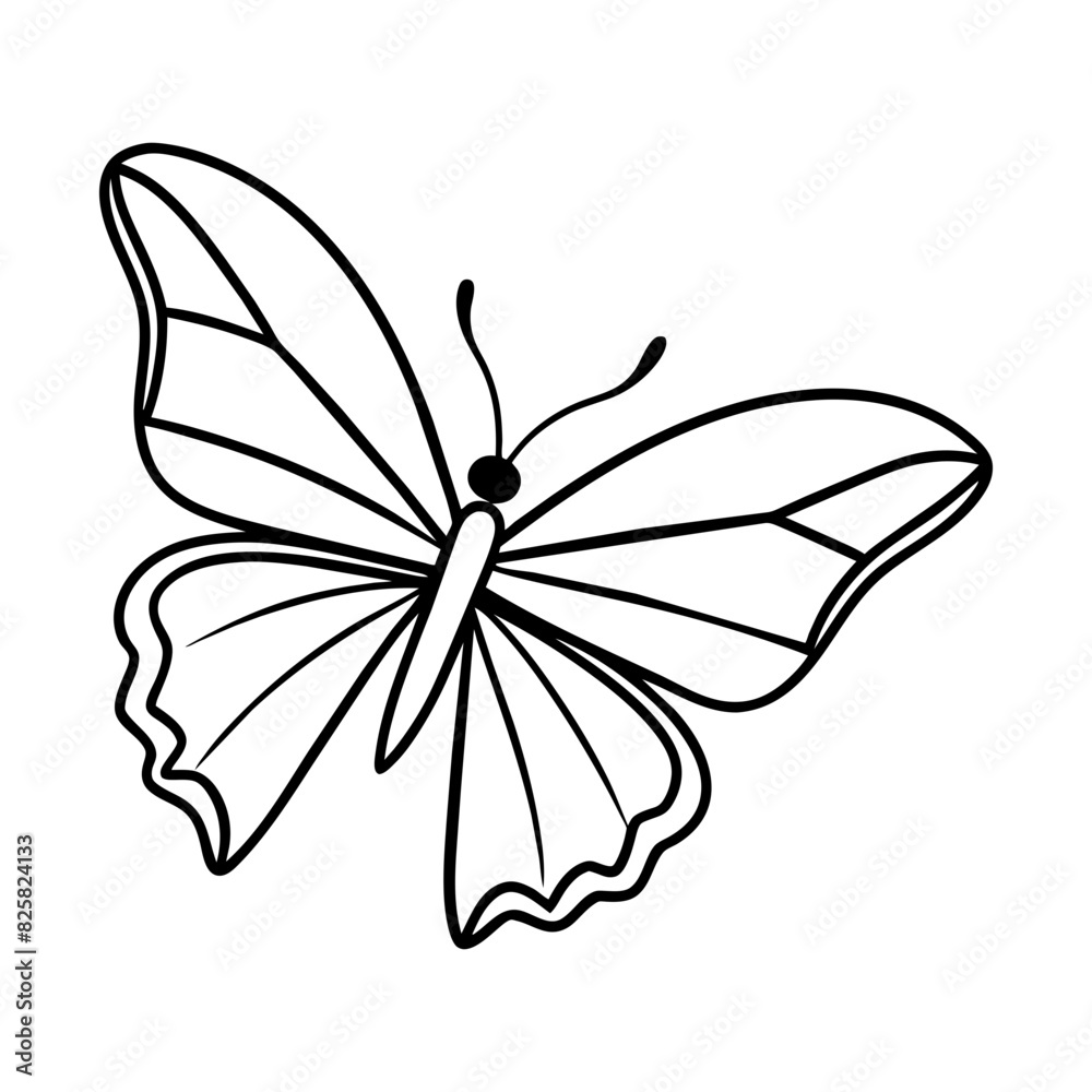 butterfly drawing outline on transparent background butterfly drawing outline on transparent background
