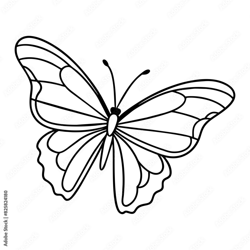 butterfly drawing outline on transparent background