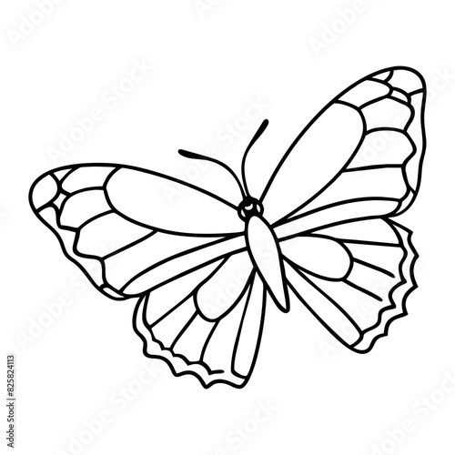 butterfly drawing outline on transparent background