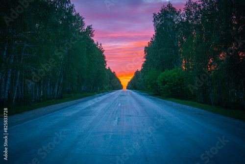 road at red sunset in a forest photo