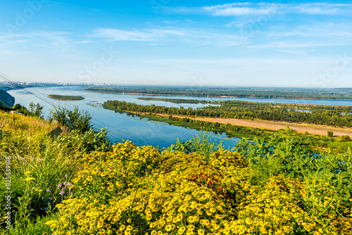 Samara city (Russia) on the banks of the Volga River. High buildings, blue water, forest, tree, bush. Quiet summer morning with light sky. In the foreground are thickets of helenium flowers. photo