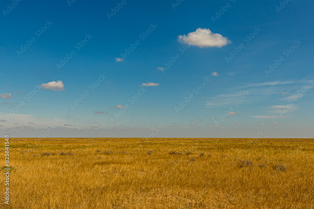Bright sunny day in the Russian steppe with Cumulus clouds. Fluffy white clouds in the blue sky. Bright yellow grass on the veld.  Stratocumulus or Cumulostratus clouds on the horizon.