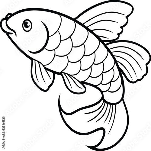 Arowana Fish Line Art Black White illustration vector