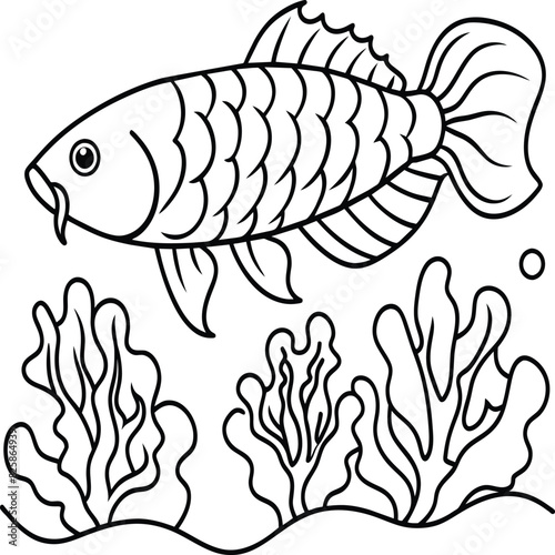 Arowana Fish Line Art Black White illustration vector