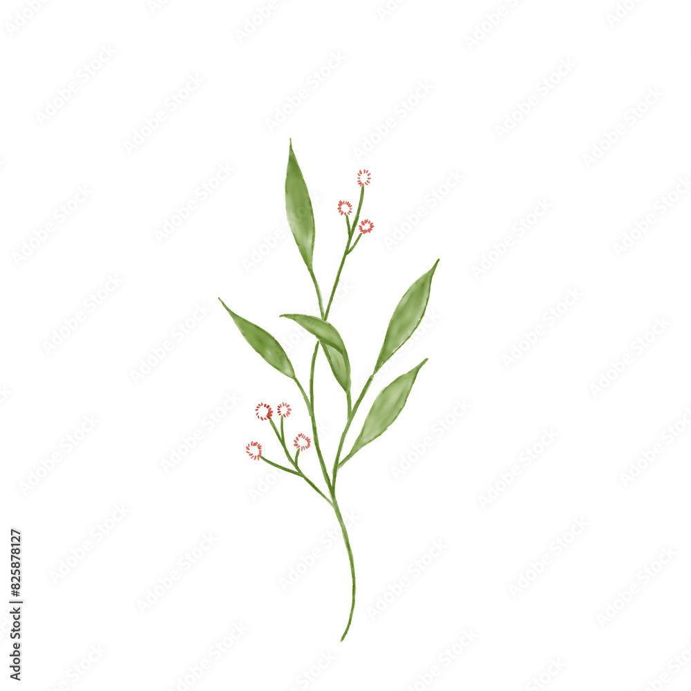 Fototapeta premium Hand drawn floral frames with peony flowers. Wreath. Elegant logo template. Vector illustration for labels, branding business identity, wedding invitation