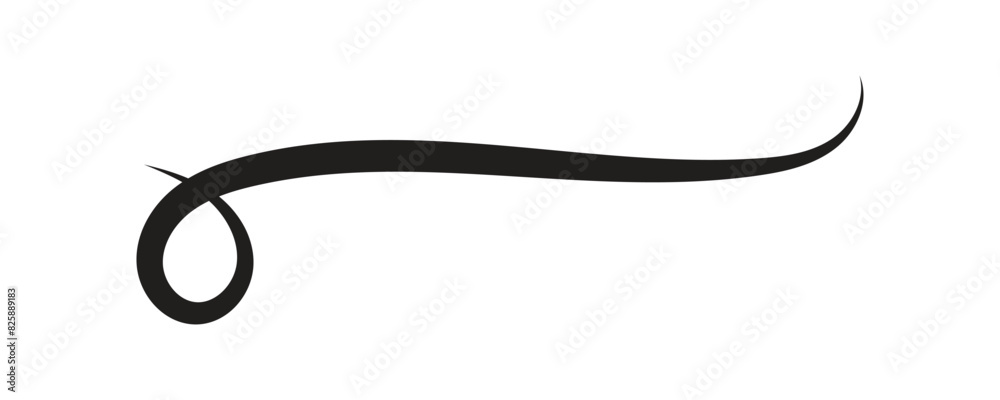 Swoosh, swash, text tail and underline vector isolated with white background.