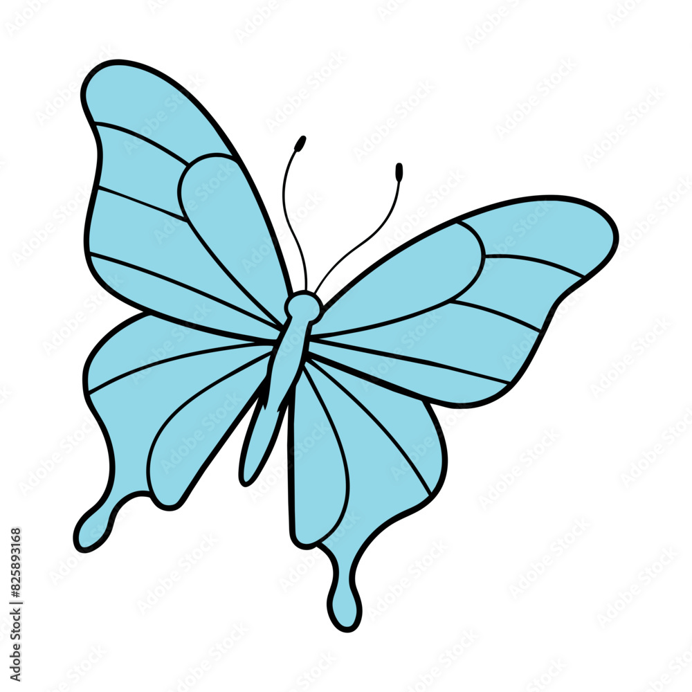 butterfly on white background butterfly on white background
