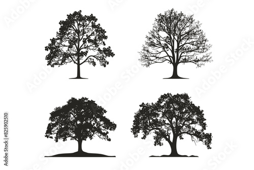 Silhouette tree set. Side view  set of graphic trees elements outline symbol for architecture and landscape design drawing. Vector illustration 