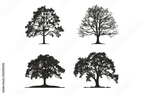 Silhouette tree set. Side view, set of graphic trees elements outline symbol for architecture and landscape design drawing. Vector illustration	