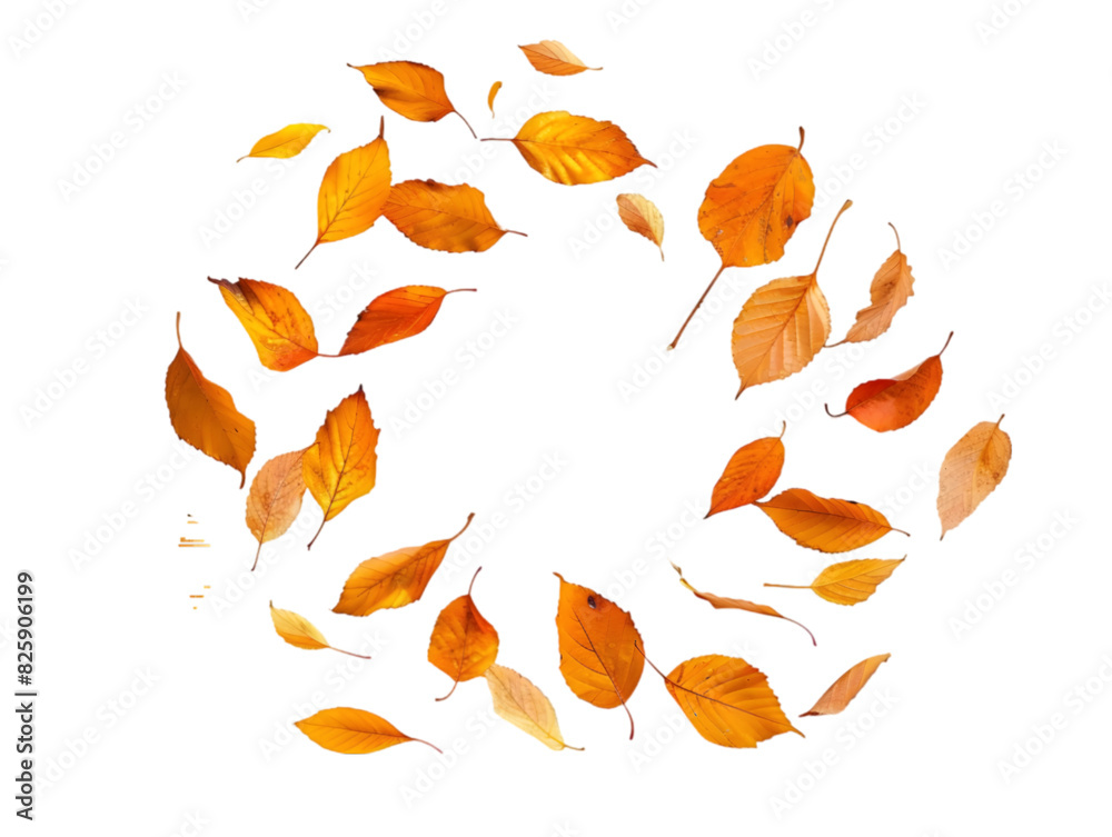 Leaves swirling around isolated on transparent background. Leaves swirling around isolated on transparent background.
