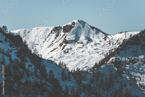 snow covered mountains