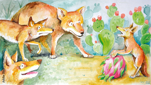 coyotes discover dragon fruit