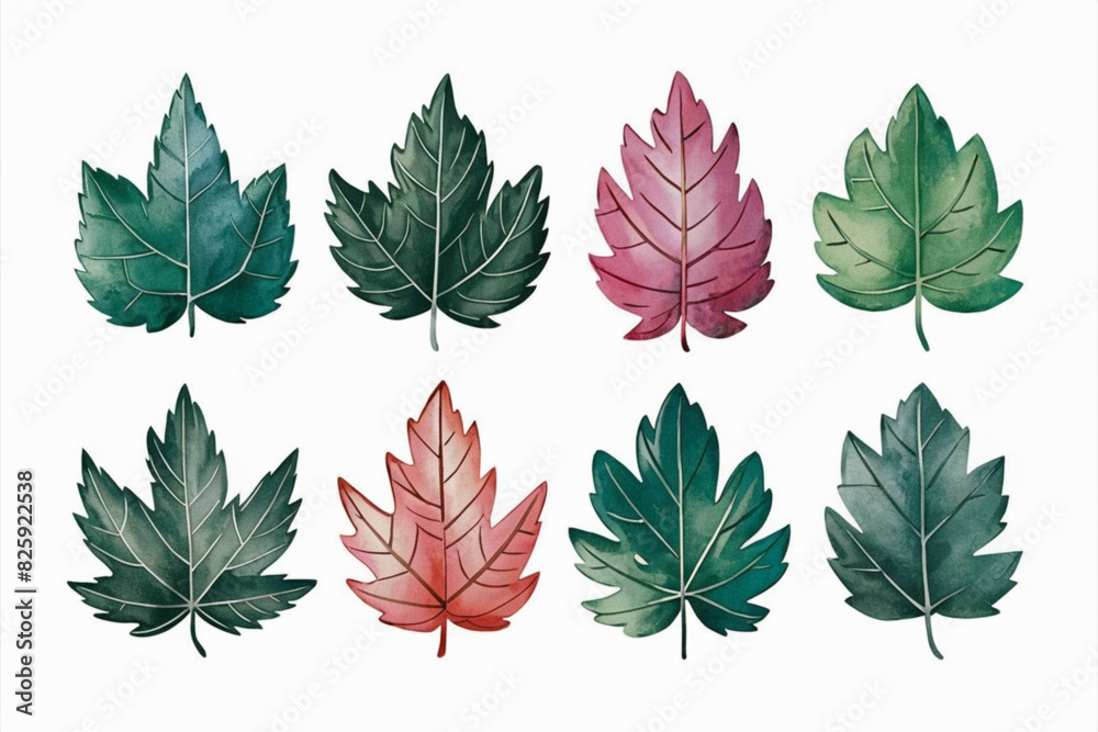 a watercolor of leaves, leaf set