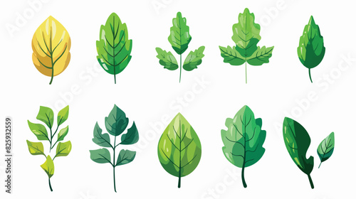 Green leaf icon. Cartoon tree spring foliage Cartoon