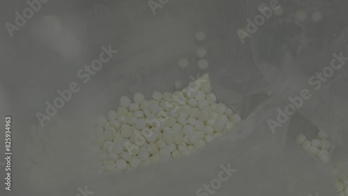 Dietary supplement manufacturing process