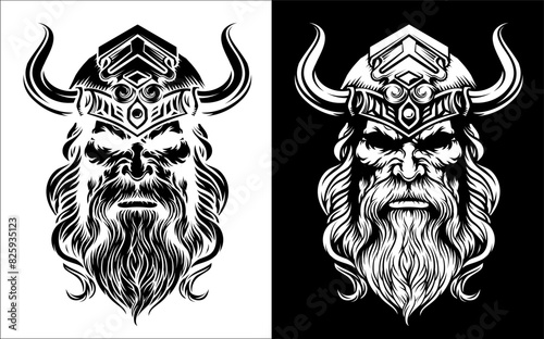 A Viking warrior or barbari...