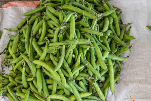 Fresh green broad beans sold in the village market.