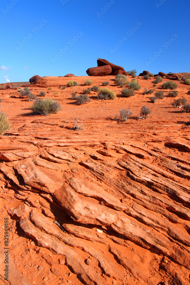 Arizona Rocky Environment in the Southwest United States