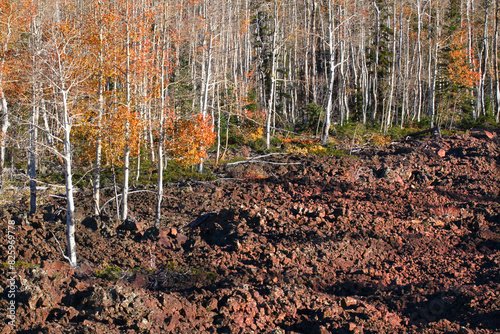 Dixie National Forest Lava Field photo