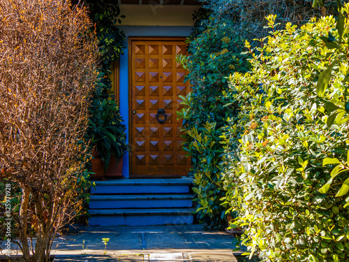 A contemporary design house entrance corridor in the garden and a wooden door. Travel to Athens, Greece.
