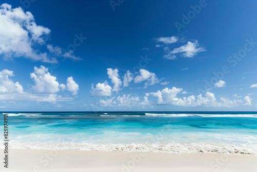 Sunlit Beach with Blue Sky and Ocean View