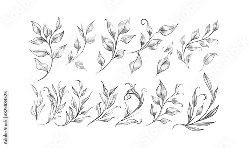 Set of floral design elements, frames and labels made with continuous line drawing. Hand drawn vector laurel leaves decorative elements. Leaves, swirls, ornate, award, icon. Vector illustration