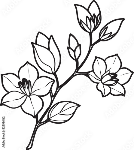Minimal blooming floral branch silhouette illustration white background