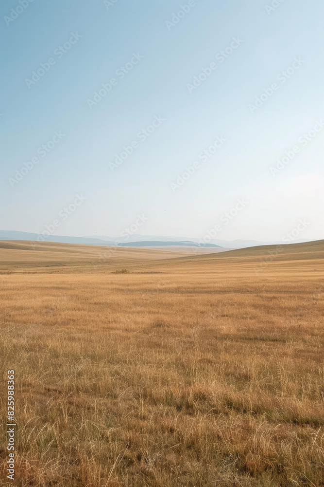 Fototapeta premium Flat plains with minimal vegetation and a focus on texture and color gradients 