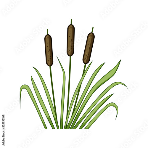 forest lake plant cartoon. garden wetland, silhouette tree, marsh park forest lake plant sign. isolated symbol vector illustration