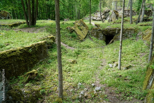 Ruins of a bunker in Wolf's Liar - Gierloz, Poland photo