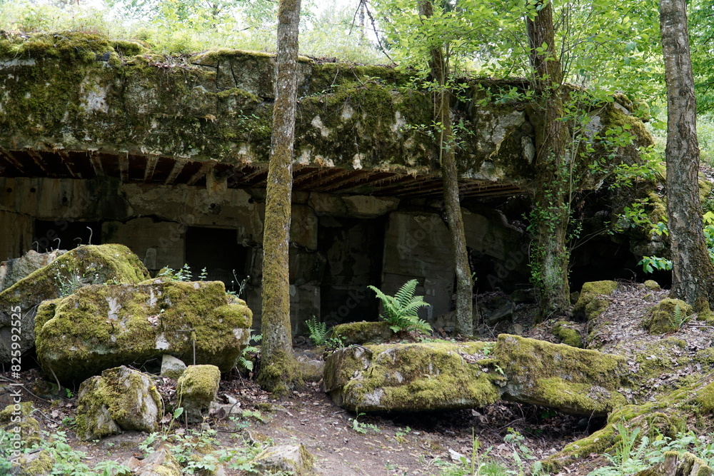 Wilhelm Keitel's bunker at Wolf's Liar - Gierloz, Poland Wilhelm Keitel's bunker at Wolf's Liar - Gierloz, Poland