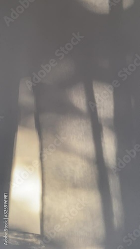 video about the shadow on a white wall of the sun through the branches and foliage of trees and tulle swaying in the wind. white-gray