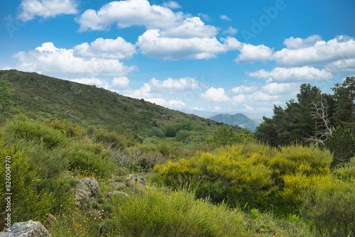 landscape, view, nature, spring, green, spain, flora, plants, be