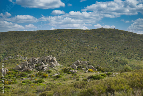 landscape, view, nature, spring, green, spain, flora, plants, be