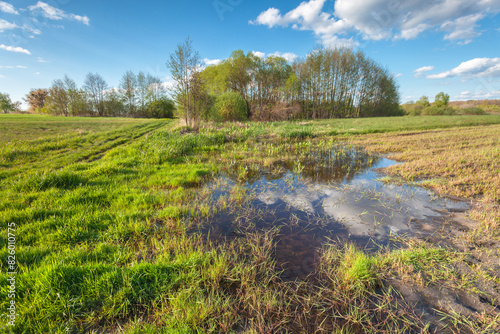 A puddle of water after rain in an agricultural field  April day  Zarzecze in eastern Poland