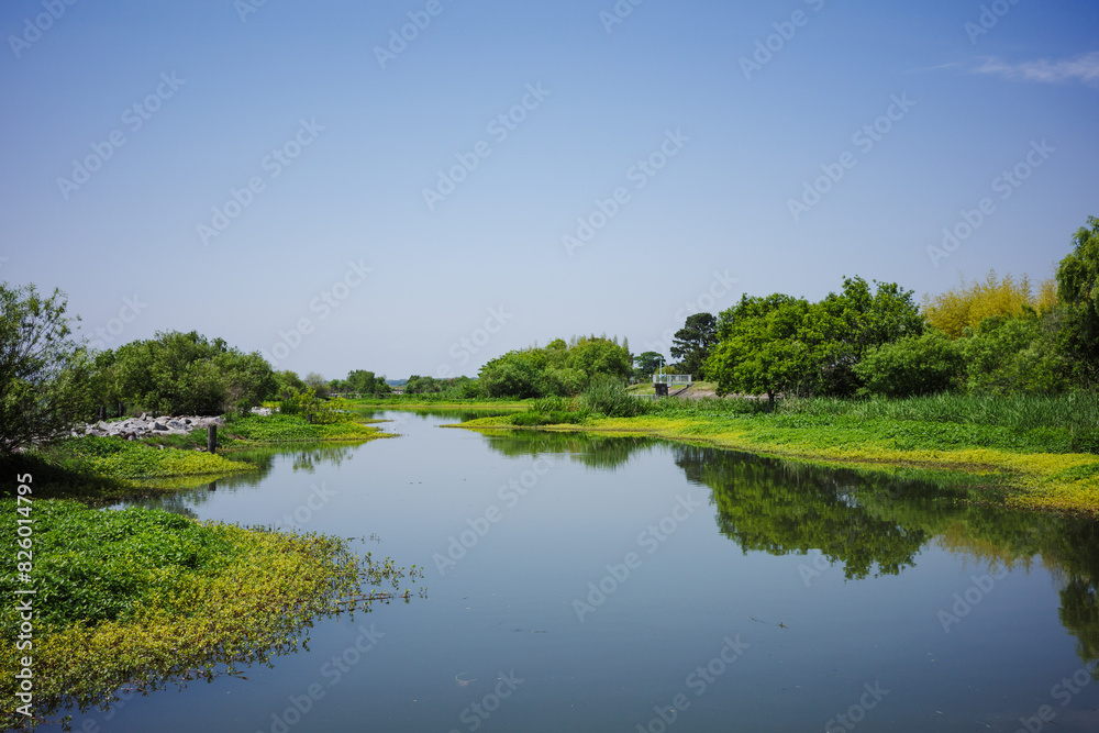 湖面 湖面