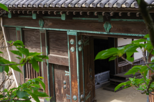佐賀城の鯱の門 photo