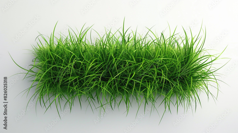 grass board on a white background. no shadow. pure white background color. grass board on a white background. no shadow. pure white background color.