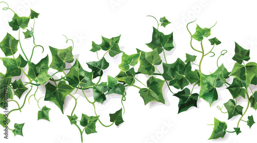 Ivy vine with green leaves creepers branches with fol