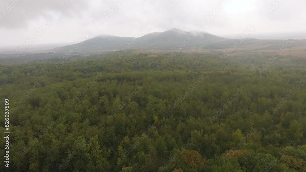 fog over the forest (shooting from a quadcopter) fog over the forest (shooting from a quadcopter)