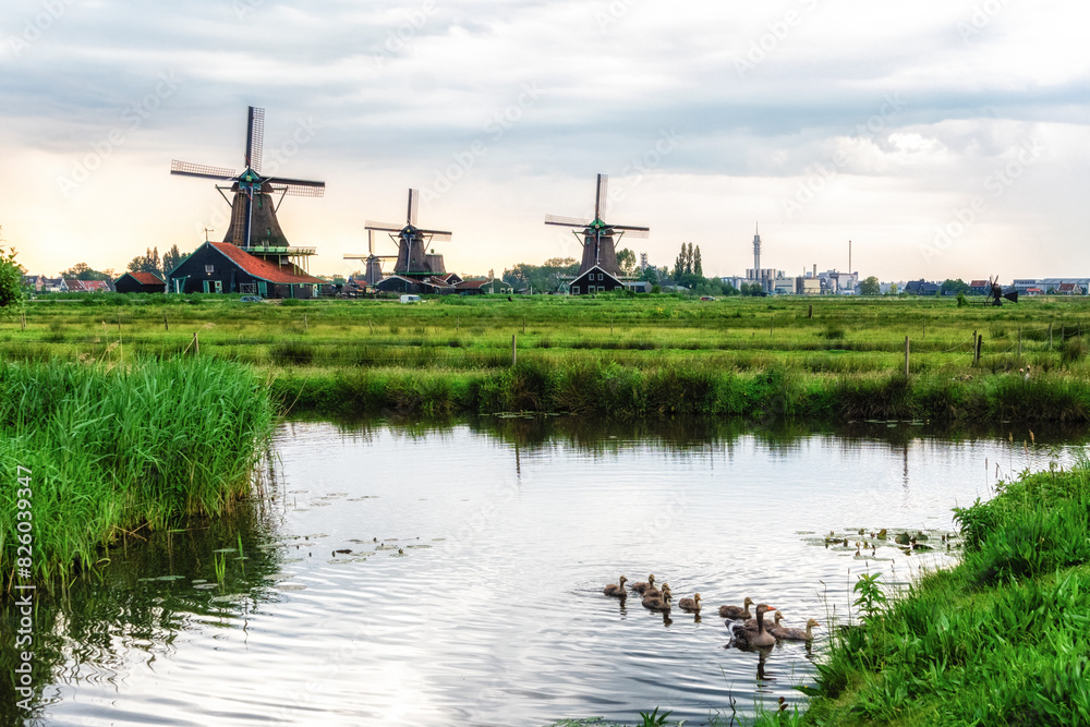 Traditional Dutch windmills in the rural landscape of Zaanse Schans Traditional Dutch windmills in the rural landscape of Zaanse Schans