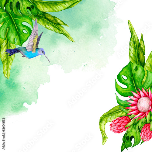 Frame of tropical leaves, protea flowers and hummingbirds. Watercolor botanical illustration. Flower composition. Design for invitations, posters, cards, greeting cards, fabric printing, etc.